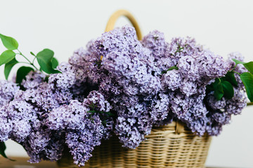 Fototapeta premium Violet lilac flowers bunch in a basket on wooden table