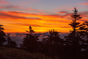 渋峠から雲海に昇る朝日