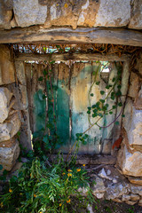derelicted wooden door with ivy