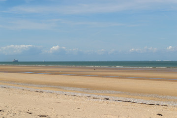 Fototapeta na wymiar La plage à marée basse, bancs de coquillages sur le sable rosé. Vue à l'horizon sur les falaises de calcaire Britanniques