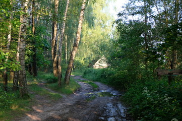Fototapeta premium Nature in the summer outside the city. Forest, lake, fields.