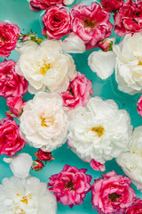 stunning floral texture of roses in water on blue background