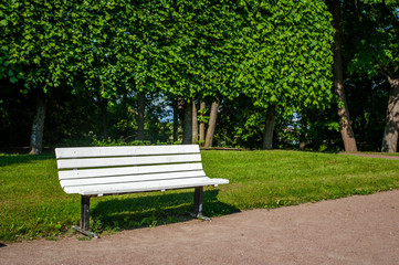 Fototapeta na wymiar White bench in the summer park, sunny day