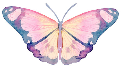 Cartoon watercolor illustration. Cute hand-drawn yellow-pink butterfly isolated on white background.