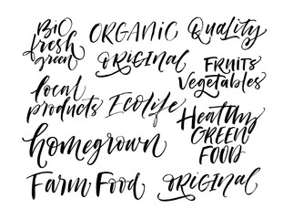 Set of eco phrases. Hand drawn brush style modern calligraphy. Vector illustration of handwritten lettering. 