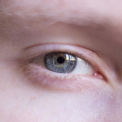 Blue-Yellow eye close-up 