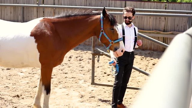 Young beautiful girl makes selfie with a brown horse