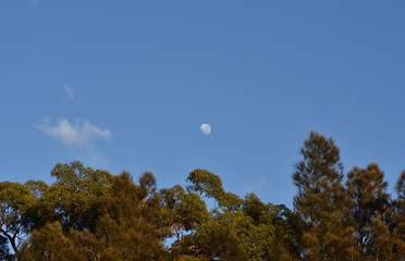 Moon in sunrise time