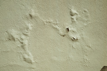 Wall covered by rough plaster with bubbles of mold