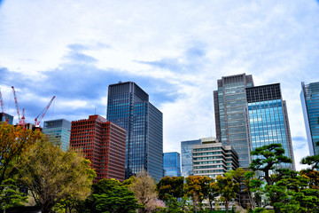 Fototapeta premium Landscape of Marunouchi, Tokyo, Japan.