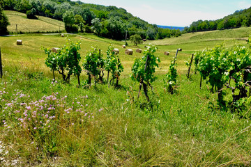  CAMPAGNE AIN FRANCE