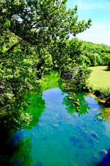 Fototapeta premium RIVIERE SURAN