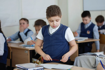 Schoolchildren in the classroom at the lesson.