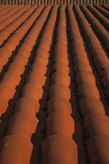 Tiles on roof forming a charming background