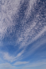 空の背景素材。青空、美しい雲、光。