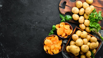 Potatoes and potato chips on a black background. Organic food. Top view. Free space for text.