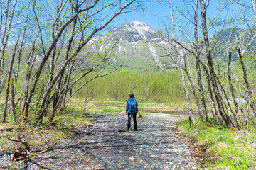Obraz premium Male hiker standing in the forest of Kamikochi in Northern Japan Alps.