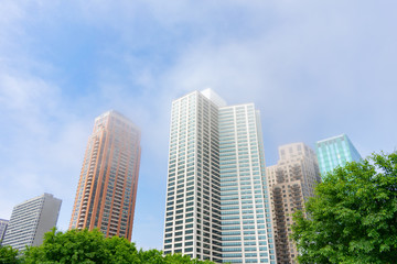 Green Trees in front of Skyscrapers along Michigan Avenue in the South Loop of Chicago on a Foggy Day
