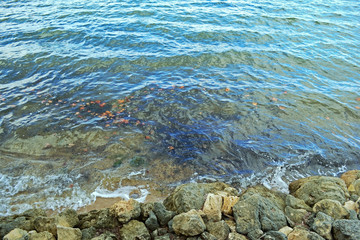 sea and rock at Lancelin, Western Australia