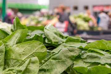 Pile of fresh green chard leaves on the marketplace counter in Belgrade. Blurred sellers and customers on background