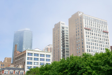 Obraz premium Green Trees in front of Skyscrapers along Michigan Avenue in the South Loop of Chicago on a Foggy Day