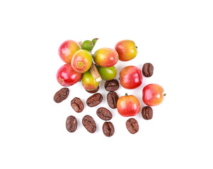 Fresh coffee and dried coffee beans Isolated on a white background. Top view