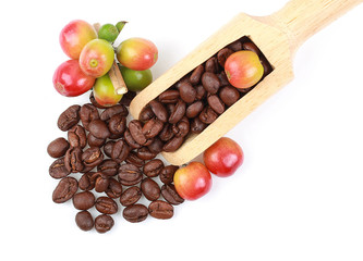 Fresh coffee and dried coffee beans in a wooden spoon Isolated on a white background. Top view
