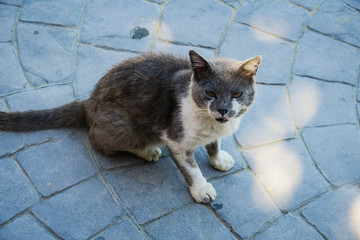 Viaje al pueblo de Ores Espa&ntilde;a