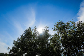 Obraz premium Viaje al pueblo de Ores España