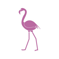 Exotic tropical bird flamingo.