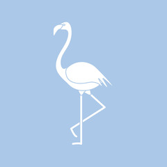 Obraz premium Exotic tropical bird flamingo.
