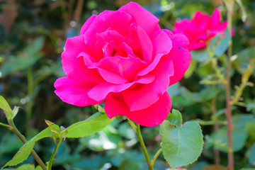 Viaje al pueblo de Ores España