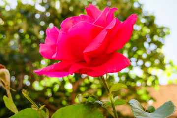 Viaje al pueblo de Ores España