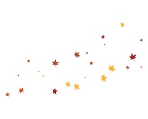 autumn Leaf Logo template vector illustration