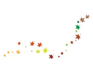 autumn Leaf Logo template vector illustration