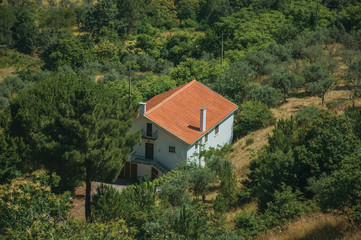 Fototapeta na wymiar Cottage roof among trees and farmed fields