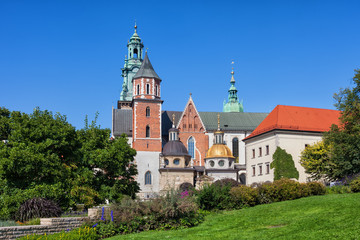 Fototapeta na wymiar Krakow Cathedral In Poland