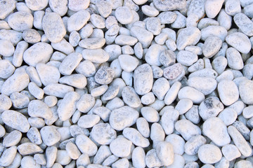 brown Clay bunny on white pebbles