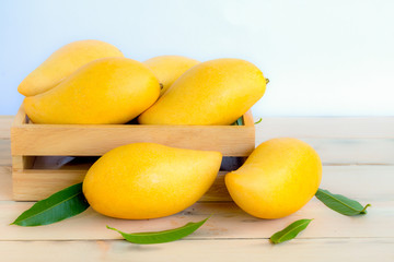 Ripe mangos and leaves in a basket on woodren floor on white background