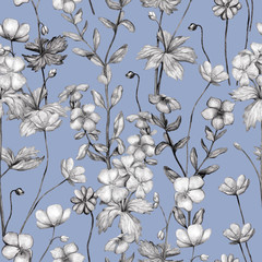 Seamless pattern of monochrome pencil botanical sketches of wild flowers. Hand-drawn geranium, petunia and anemone on blue background. Vintage style.