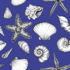 Sea summer seamless pattern. Graphic drawings of starfish, shells, mollusks on a blue background. Vintage style. Original pencil hand drawn illustration. Tropical seashells texture.