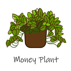 Money Plant ,Air purification tree,Vector hand drawn doodles. air purifying indoor plants