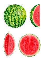 Collection with bright and fresh fruits. Drawing of acrylic paints whole and sliced watermelons isolated on a white background. Beautiful hand-drawn design elements. Organic food. Realistic drawings.