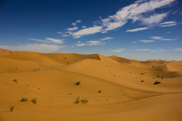 Merzouga, Sahara desert, Morocco, Africa
