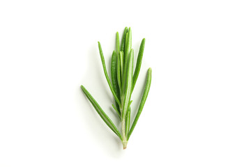 Fresh green rosemary isolated on white background