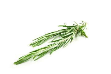 Fototapeta premium Fresh green rosemary isolated on white background