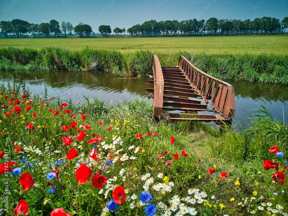 Wall mural old bridge in a summer landscape