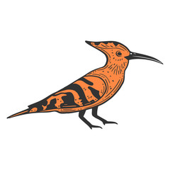 Wildbird hoopie. Vector concept in doodle and sketch style. © Sviatoslav Kovtun