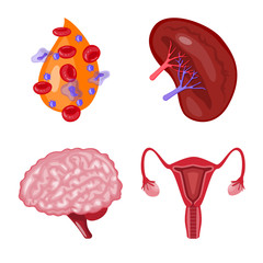 Vector design of anatomy and organ symbol. Collection of anatomy and medical stock symbol for web.
