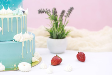 Confectionery flavored cakes for a holiday